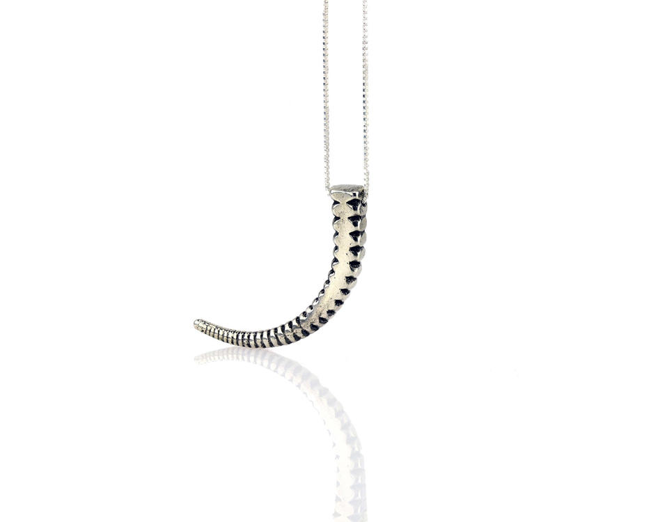Helix Tooth Necklace
